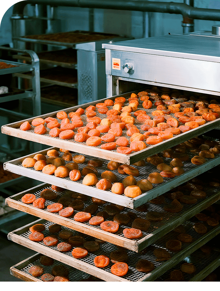 Metal Floor Drain for Fiitration industry